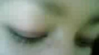 დიდი რძის დოქები უიტ ...